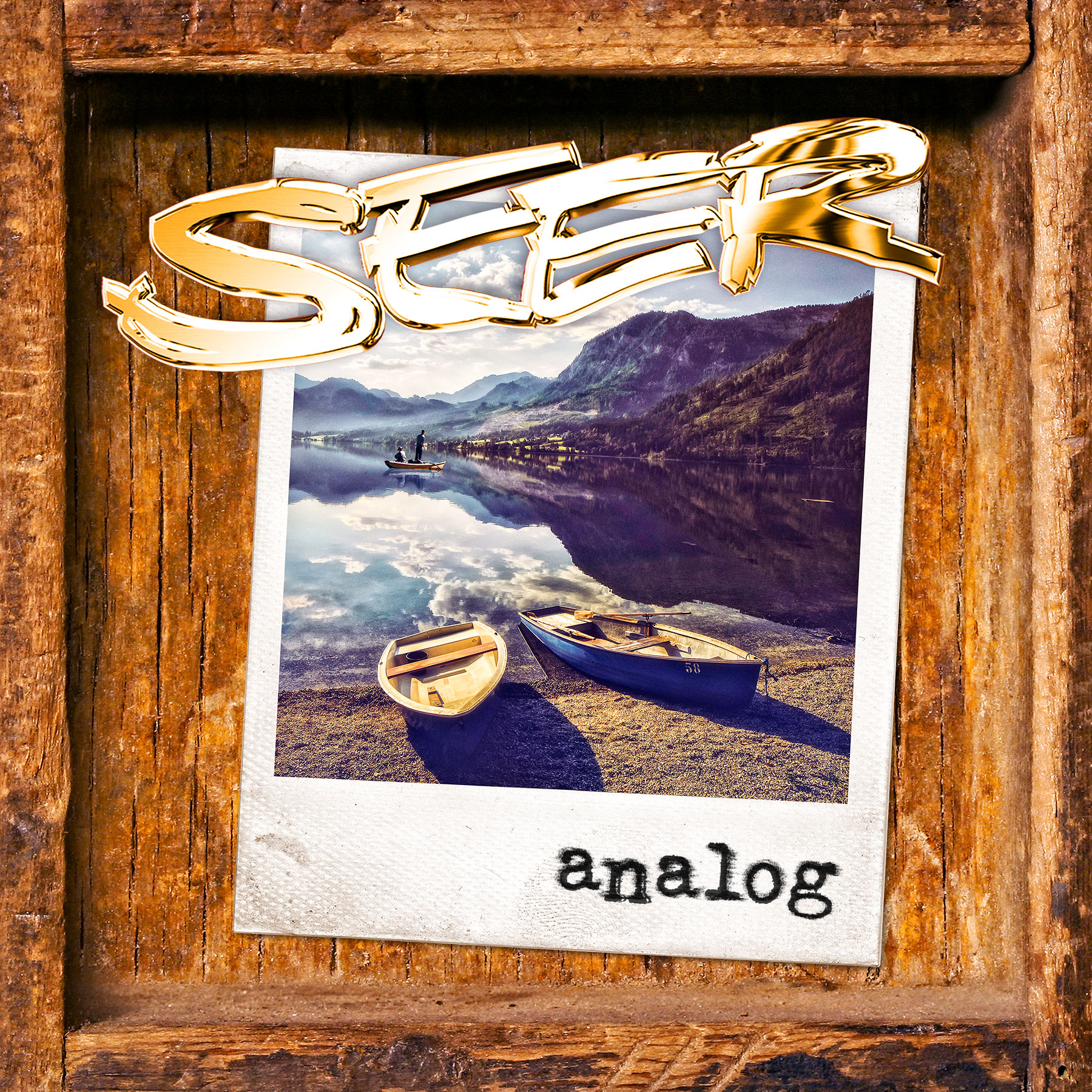 Seer_Analog_COVER Seer_Analog_COVER
